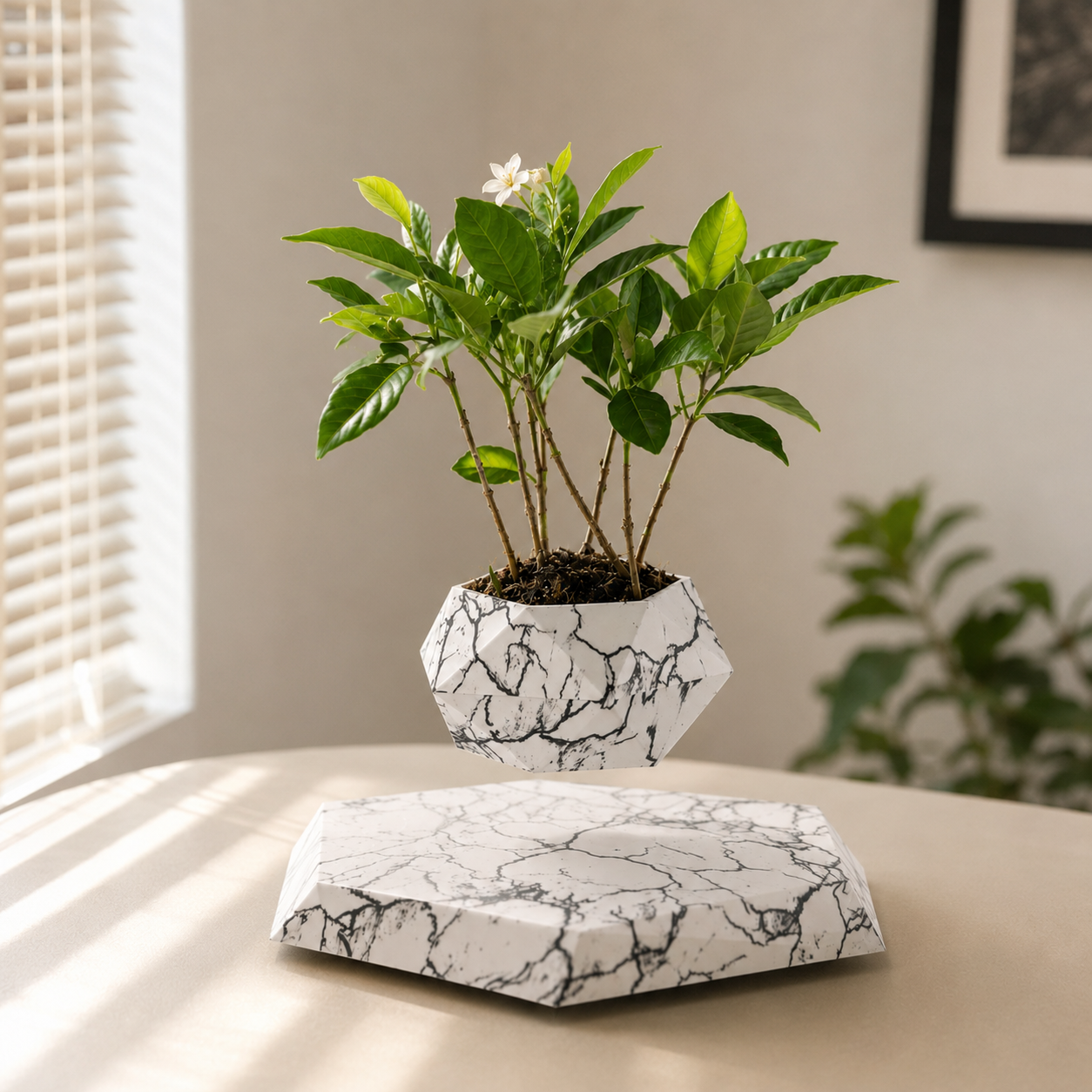 Magnetic Levitation Plant Pot
